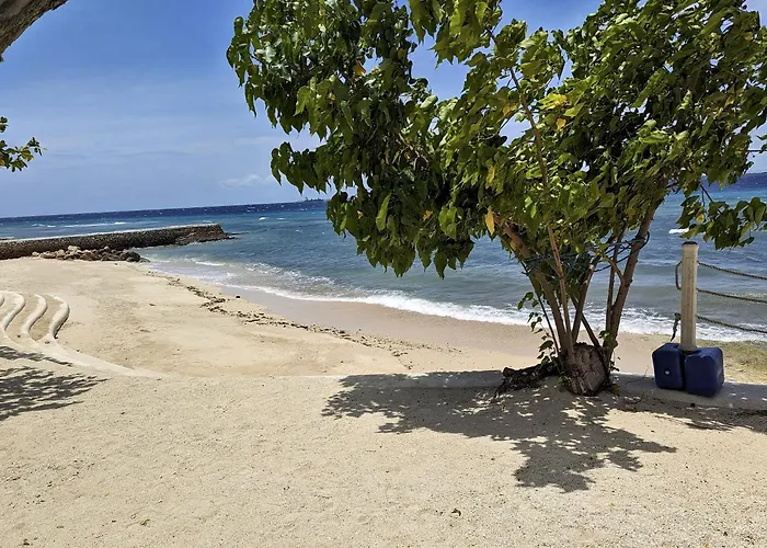 Dominiks Nature And Silent Jungle Studio Epic Ocean View Tambuli Mactan Pool Beach High Floor