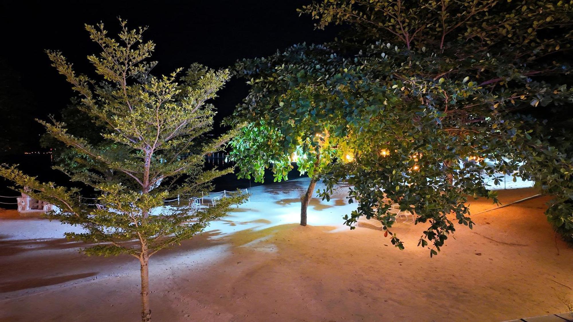 Dominiks Nature And Silent Jungle Epic Ocean View Tambuli Mactan Pool High Floor *