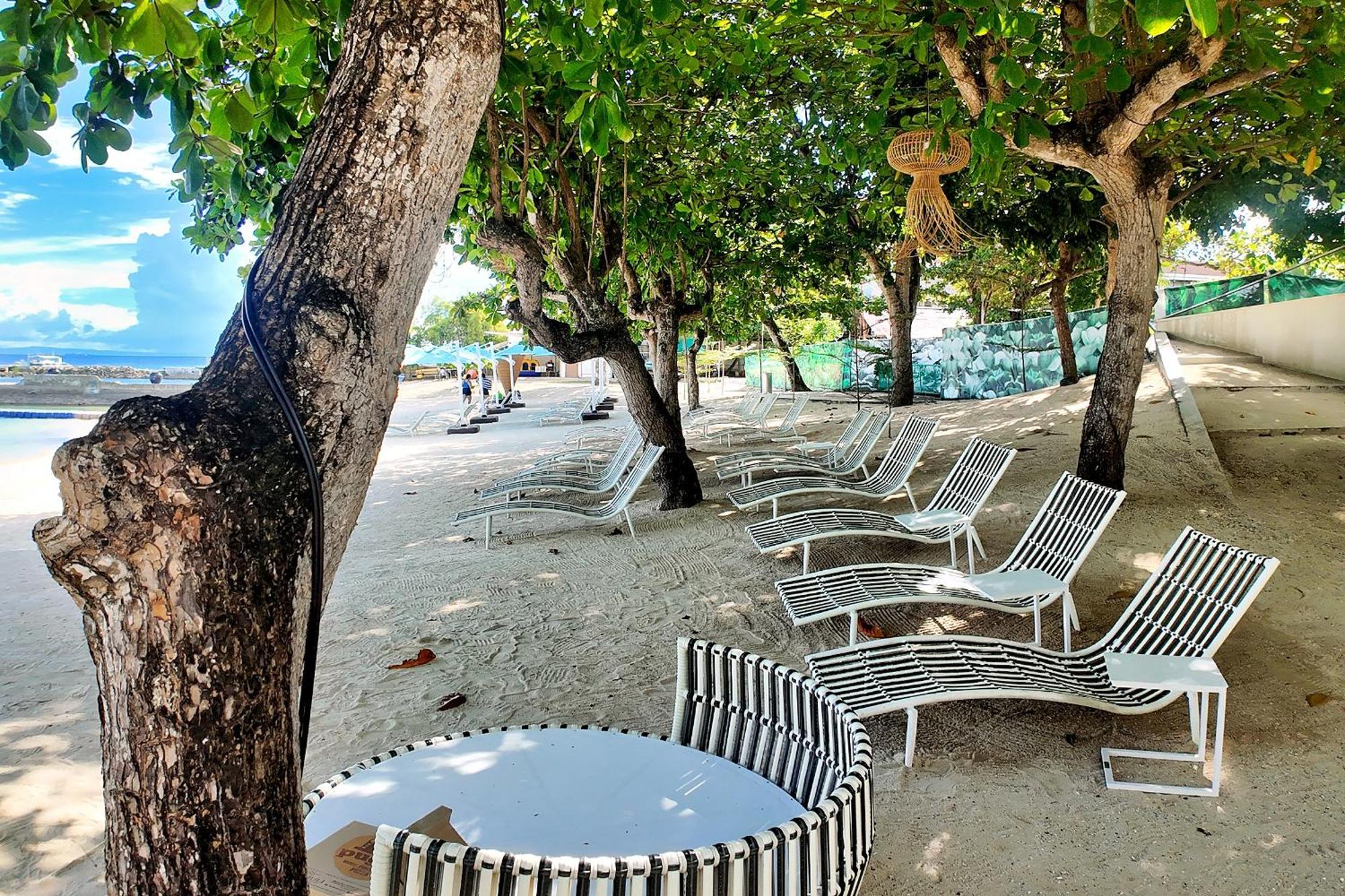 Dominiks Nature And Silent Jungle Epic Ocean View Tambuli Mactan Pool High Floor Apartment
