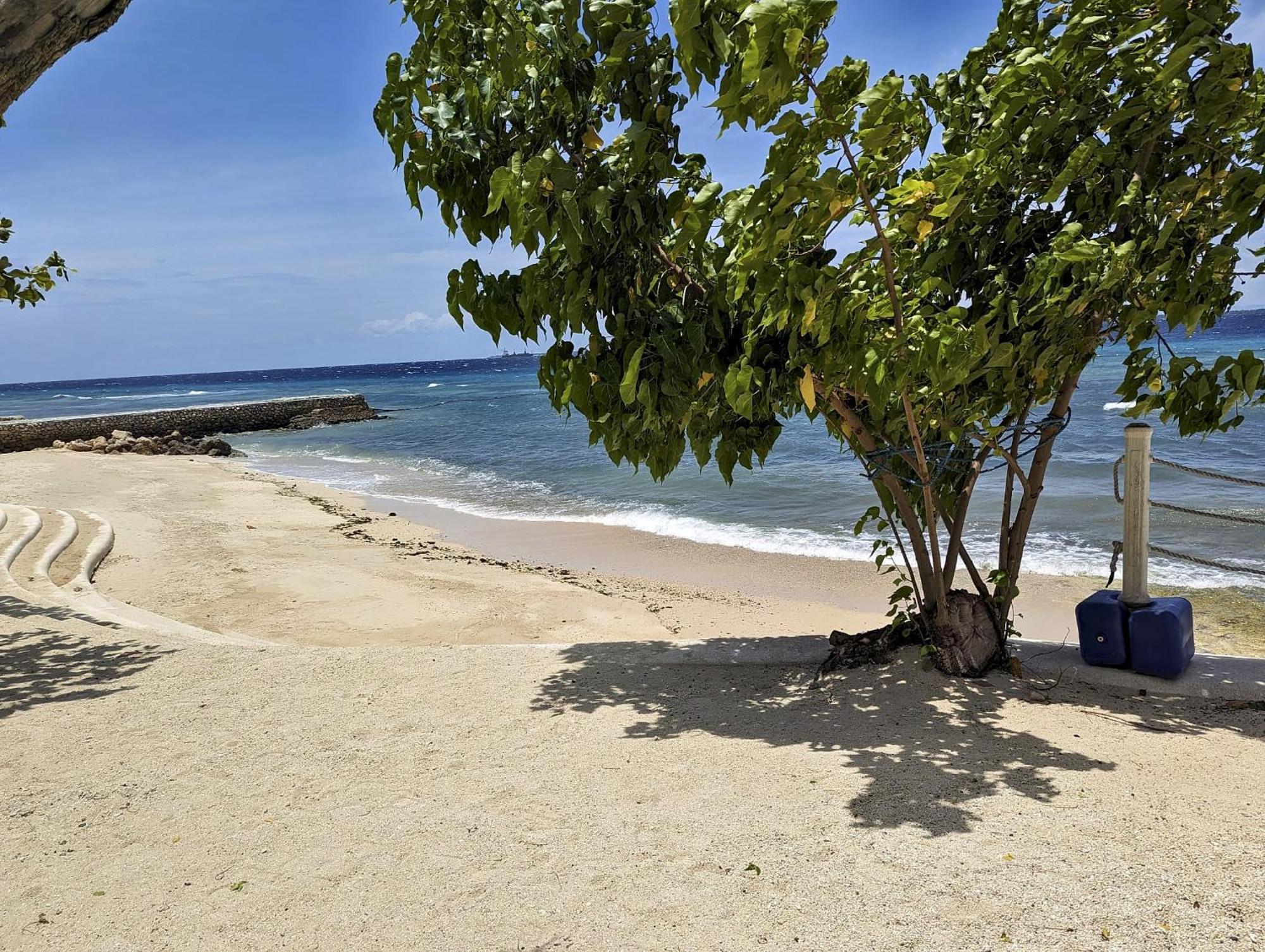 Dominiks Nature And Silent Jungle Epic Ocean View Tambuli Mactan Pool High Floor Apartment