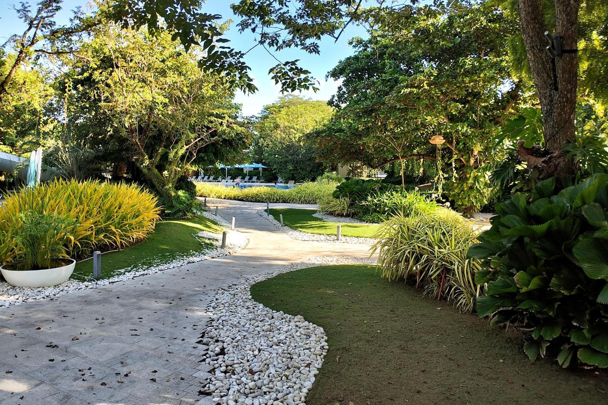 Apartment Dominiks Nature And Silent Jungle Epic Ocean View Tambuli Mactan Pool High Floor *
