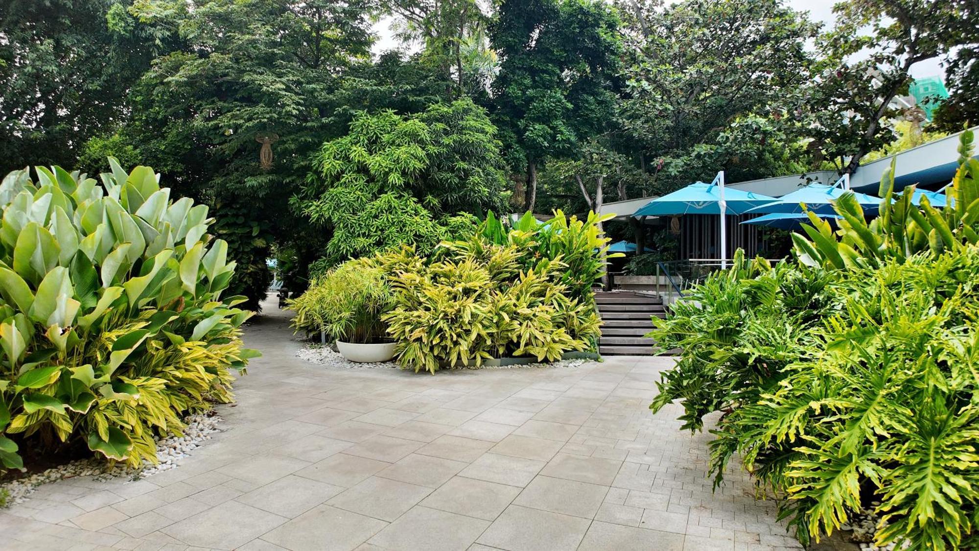 Dominiks Nature And Silent Jungle Epic Ocean View Tambuli Mactan Pool High Floor Apartment Lapu-Lapu City