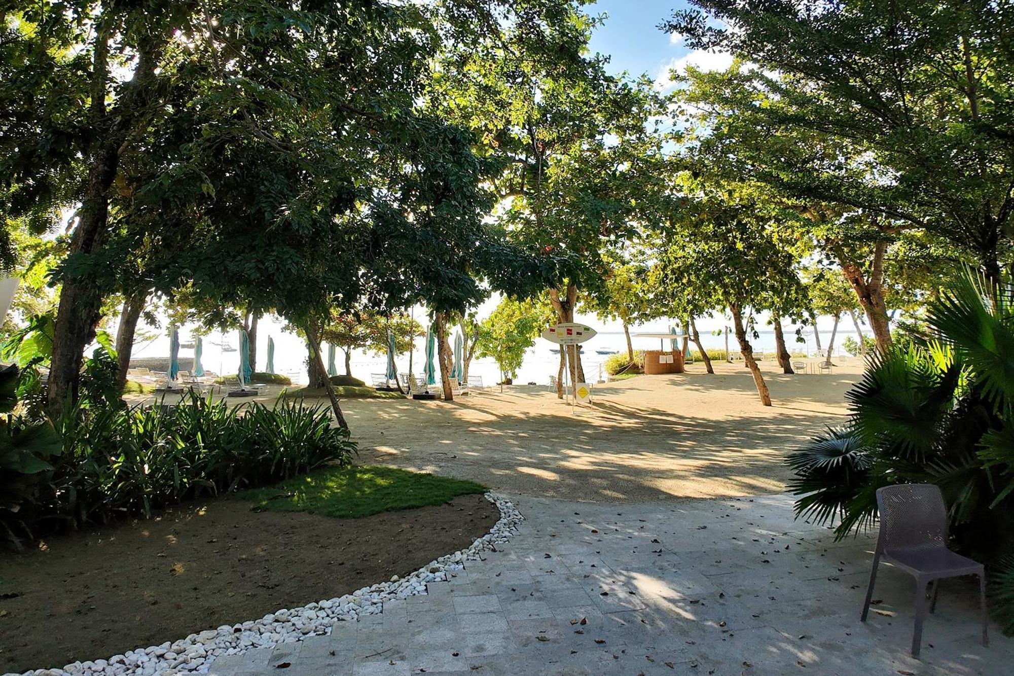 Dominiks Nature And Silent Jungle Epic Ocean View Tambuli Mactan Pool High Floor Apartment