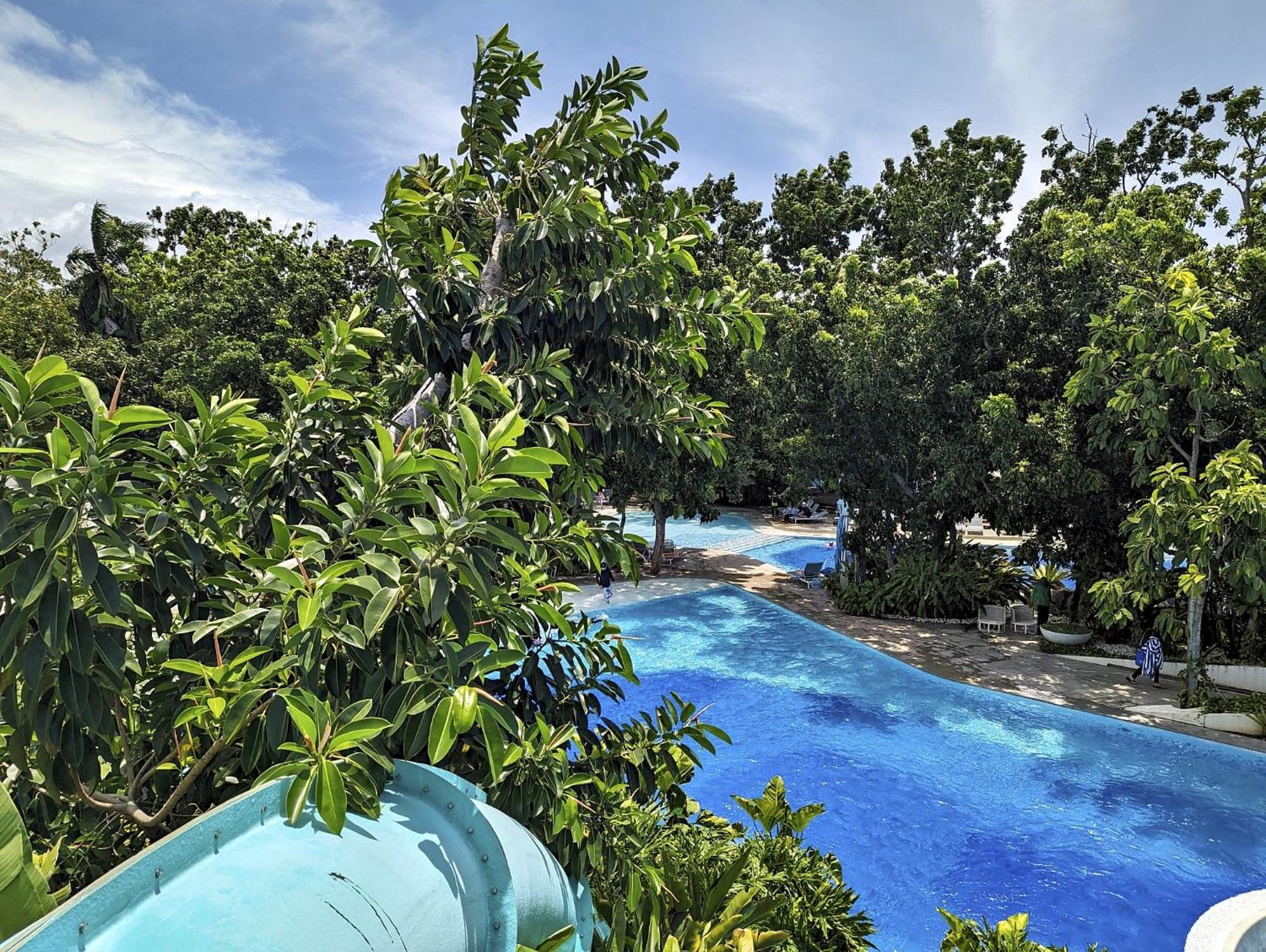 Dominiks Nature And Silent Jungle Epic Ocean View Tambuli Mactan Pool High Floor Apartment